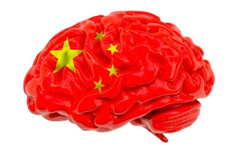 what are china brain seeds